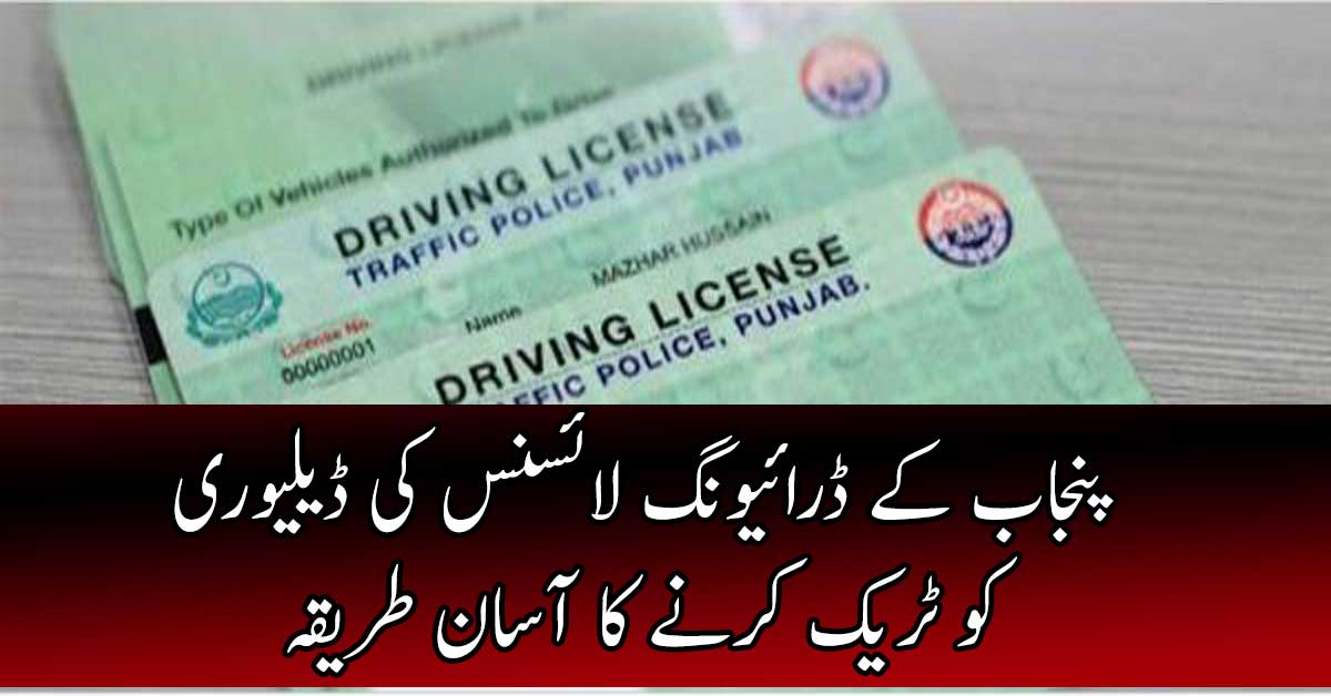 Online Driving License Verification Punjab